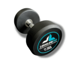 Halter 17,5Kg Dumbbell Redondo Aço Emborrachado