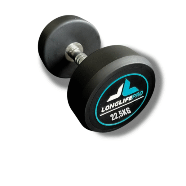 Halter 22,5Kg Dumbbell Redondo Aço Emborrachado